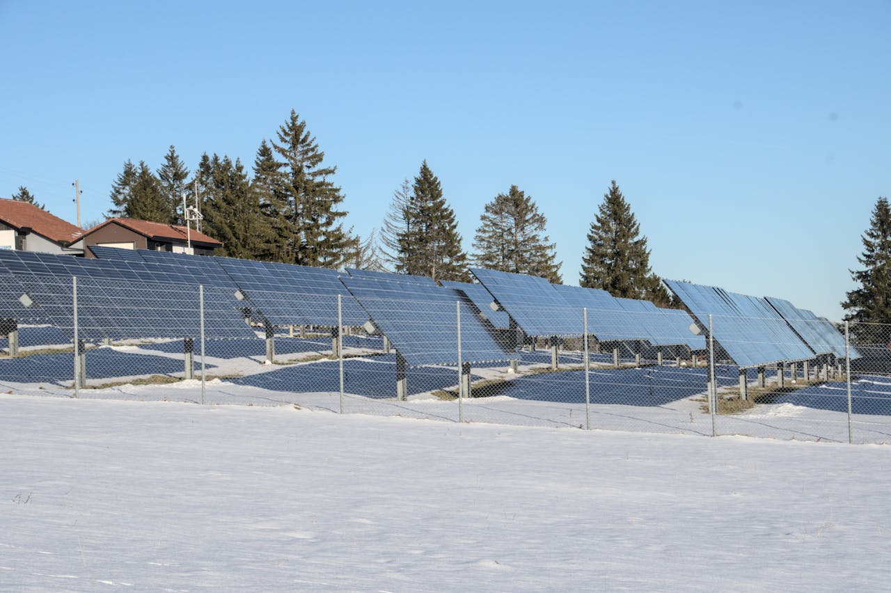 pexels photo 32016334.jpeg